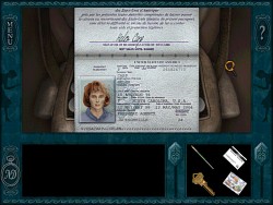 Wozu braucht Lisa falsche Papiere?